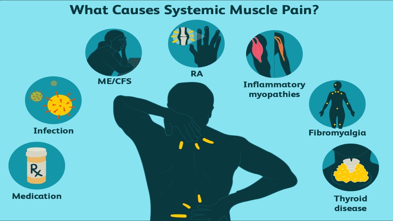 How Skeletal Muscle Relaxer Flexeril Works?