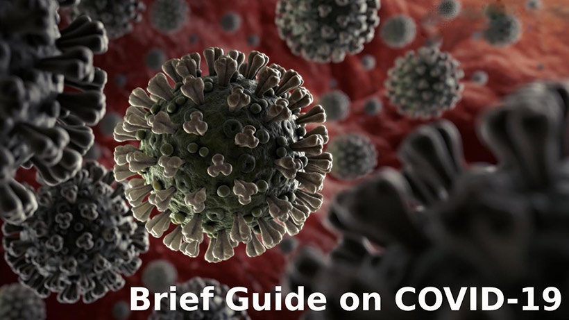 A Brief Guide on COVID-19