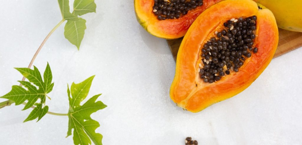 Papaya