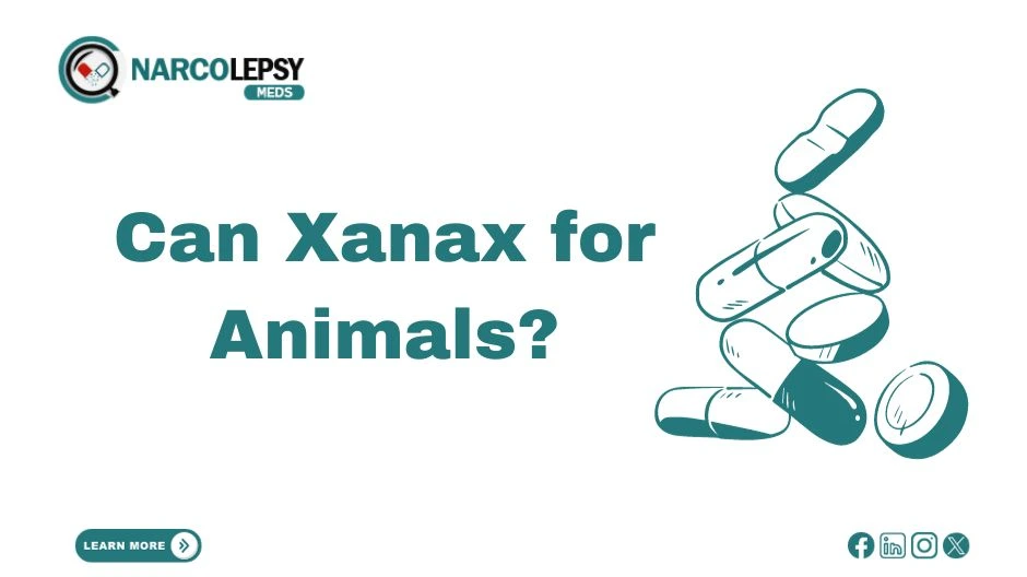 Can Xanax for Animals?